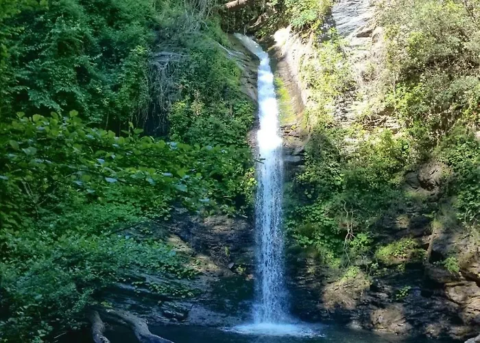 Authentique En Corse